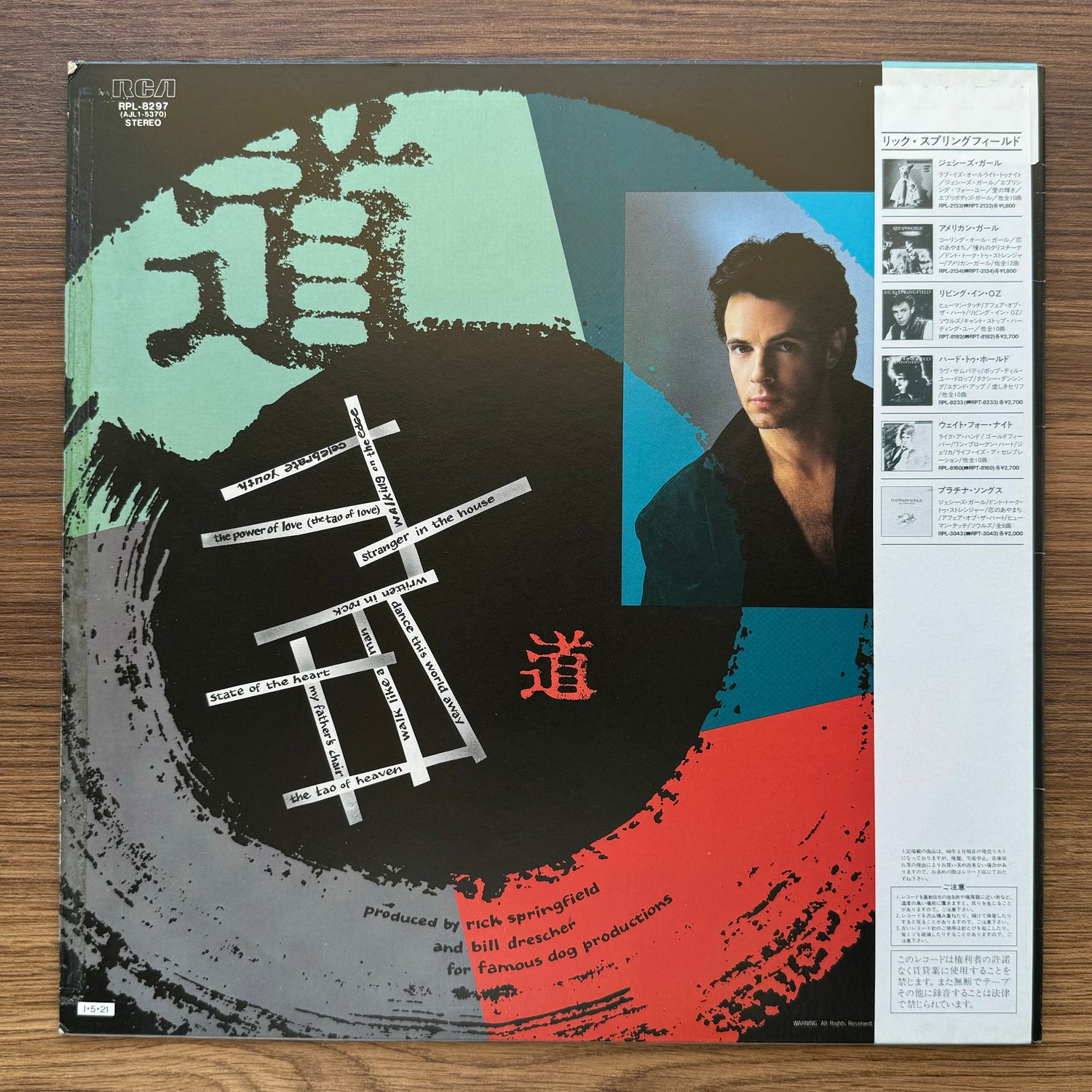 Rick Springfield – Tao 33'lük LP PLAK Japan Vinyl