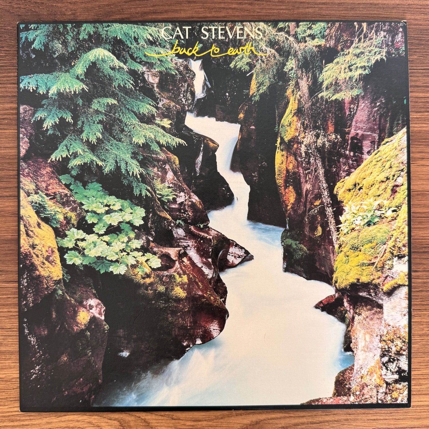 Cat Stevens – Back To Earth Japan Vinyl
