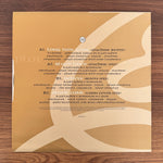 Galliano – A Thicker Plot - Remixes 93-94 Japan Vinyl