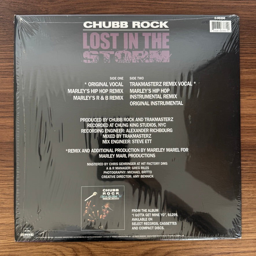 Chubb Rock – Lost In The Storm