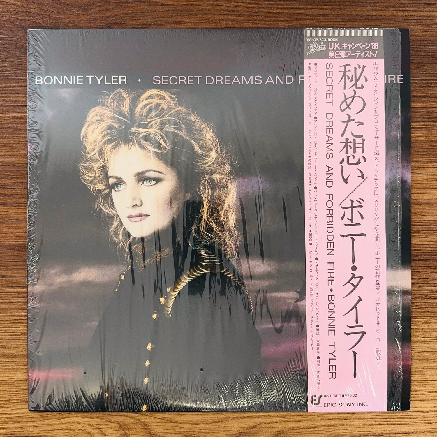 Bonnie Tyler – Secret Dreams And Forbidden Fire