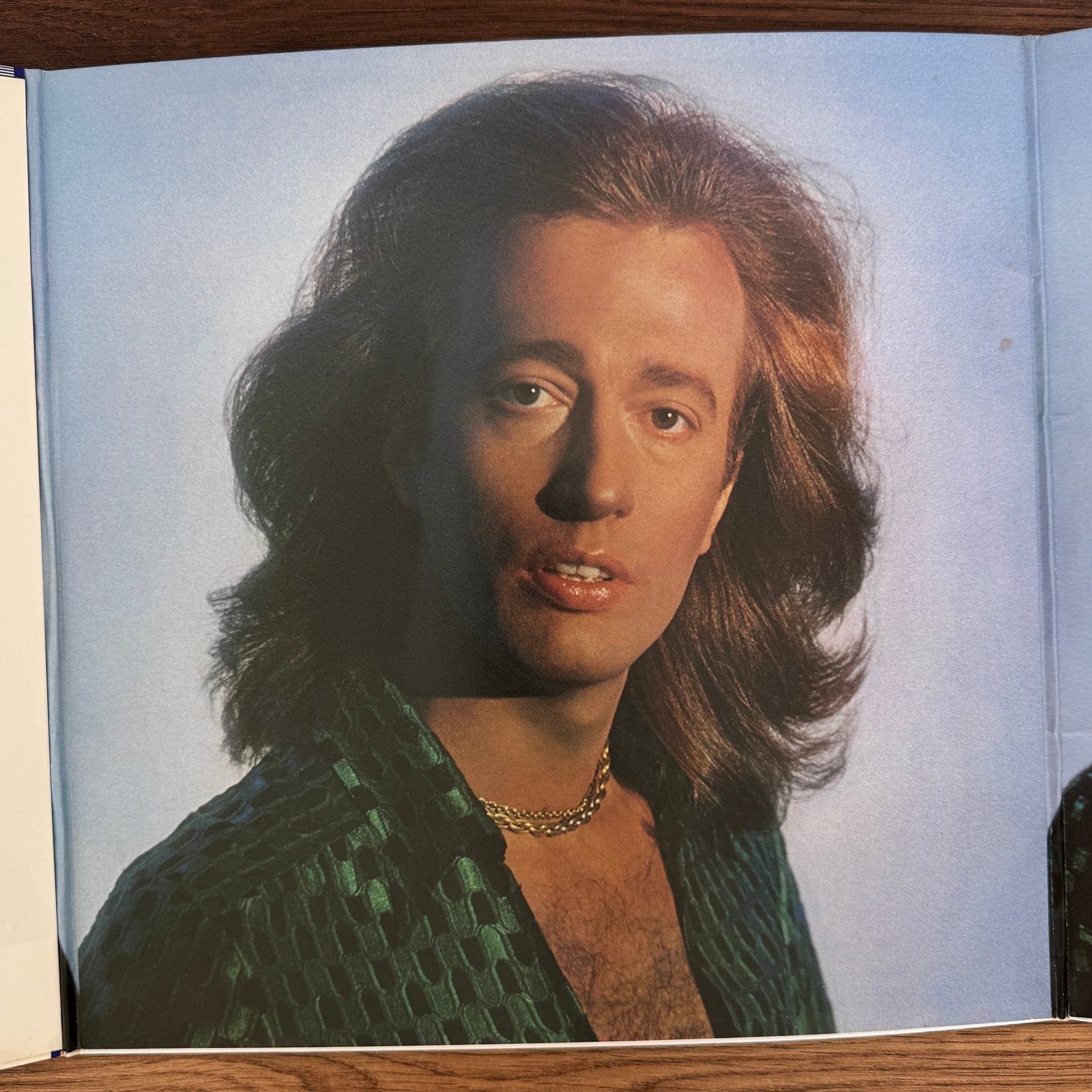 Bee Gees – Greatest Japan Vinyl