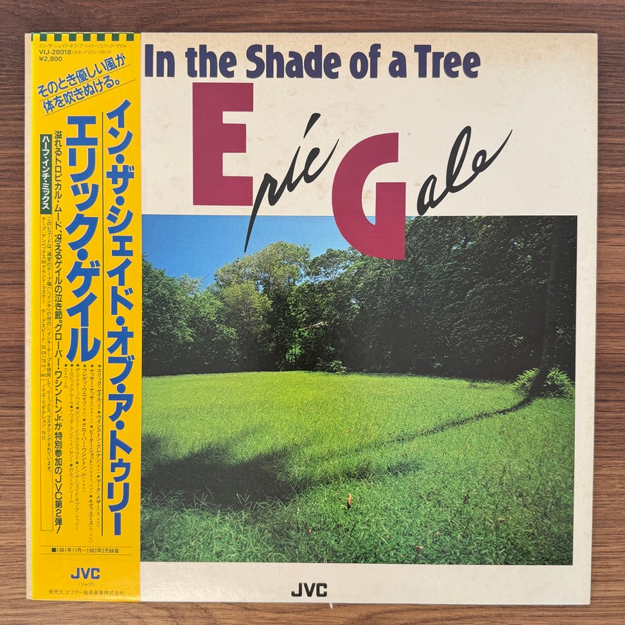 Eric Gale – In The Shade Of A Tree