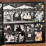 Nino Rota The Godfather Part II Original Soundtrack Japan Vinyl