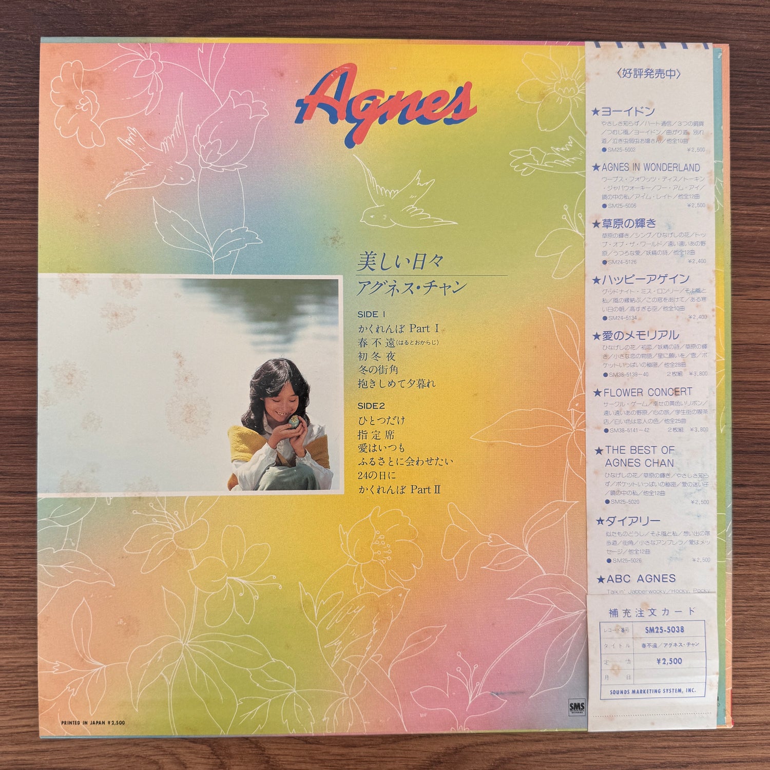 Agnes Chan – Beautiful Days