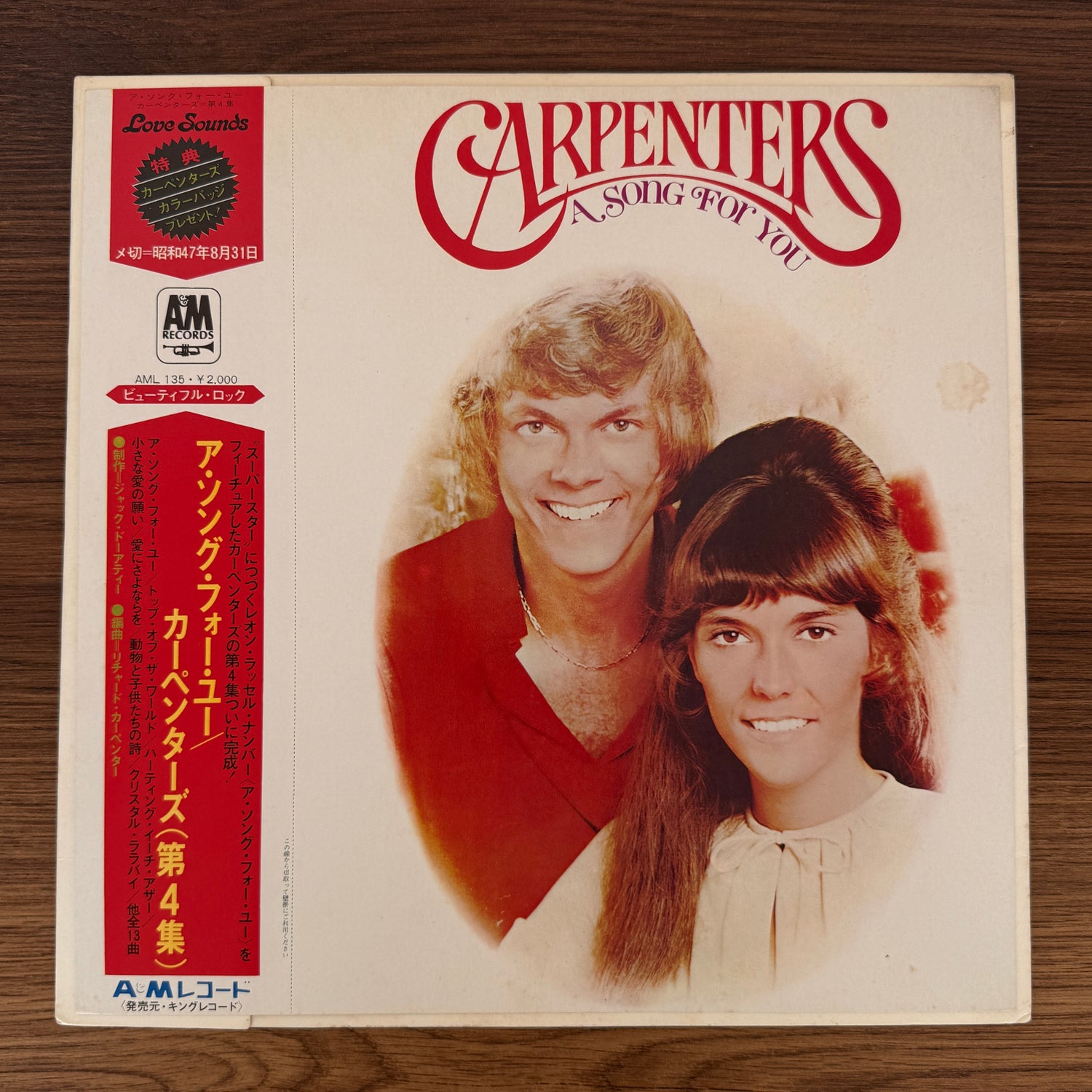 Carpenters – A Song For You