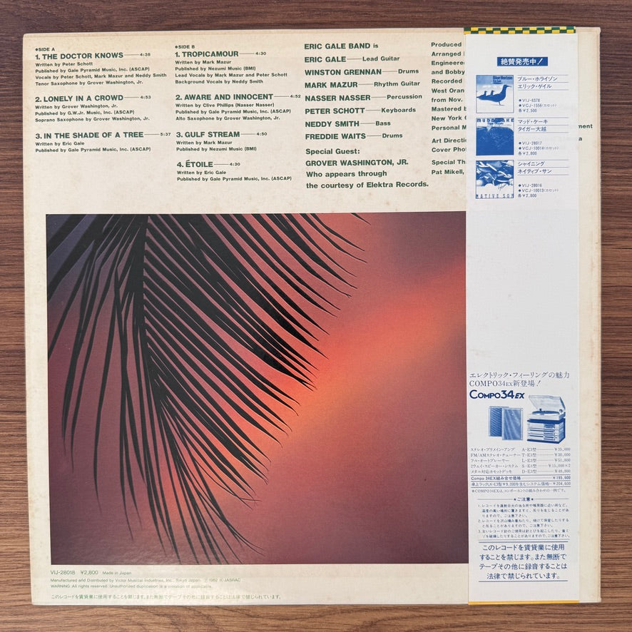 Eric Gale – In The Shade Of A Tree