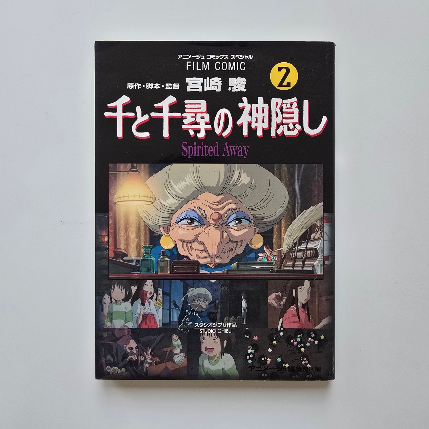 Spirited Away (Ruhların Kaçışı) Manga Vol.2
