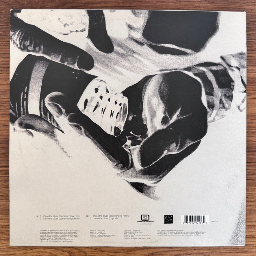 Terranova – Chase The Blues Japan Vinyl