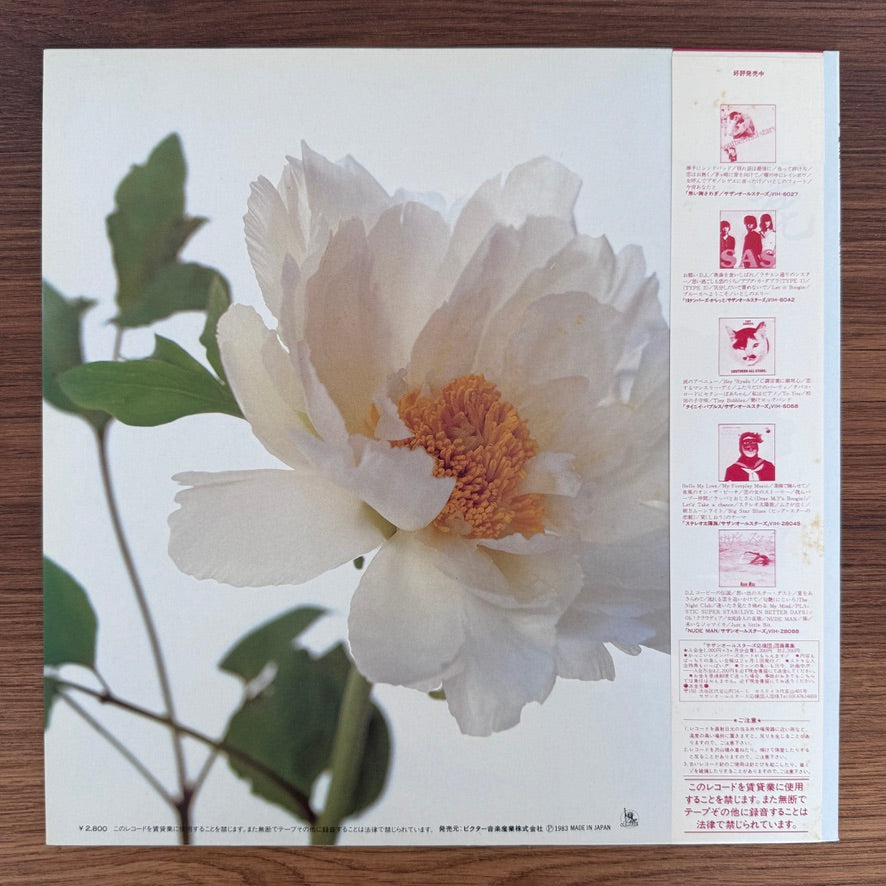 Southern All Stars – Kirei
