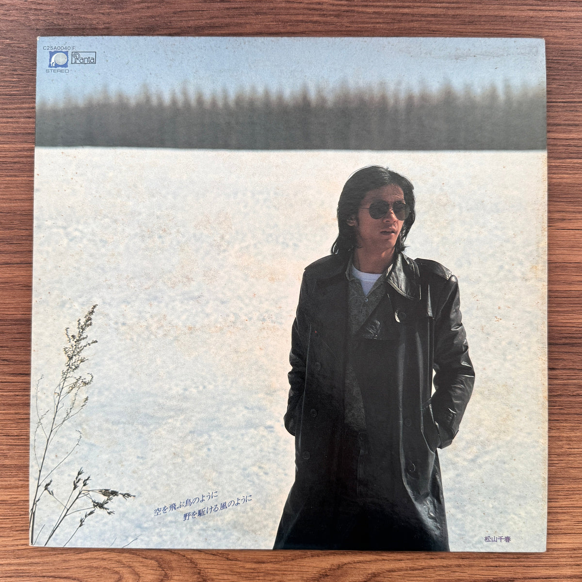 Chiharu Matsuyama – Like a Bird Flying in the Sky Japan Vinyl