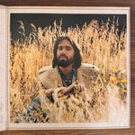 Dan Fogelberg – Phoenix Japan Vinyl