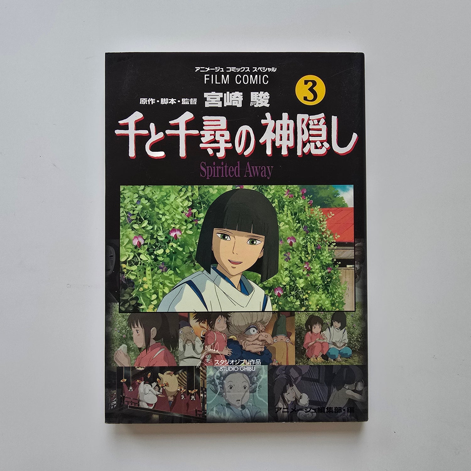 Spirited Away (Ruhların Kaçışı) Manga Vol.3