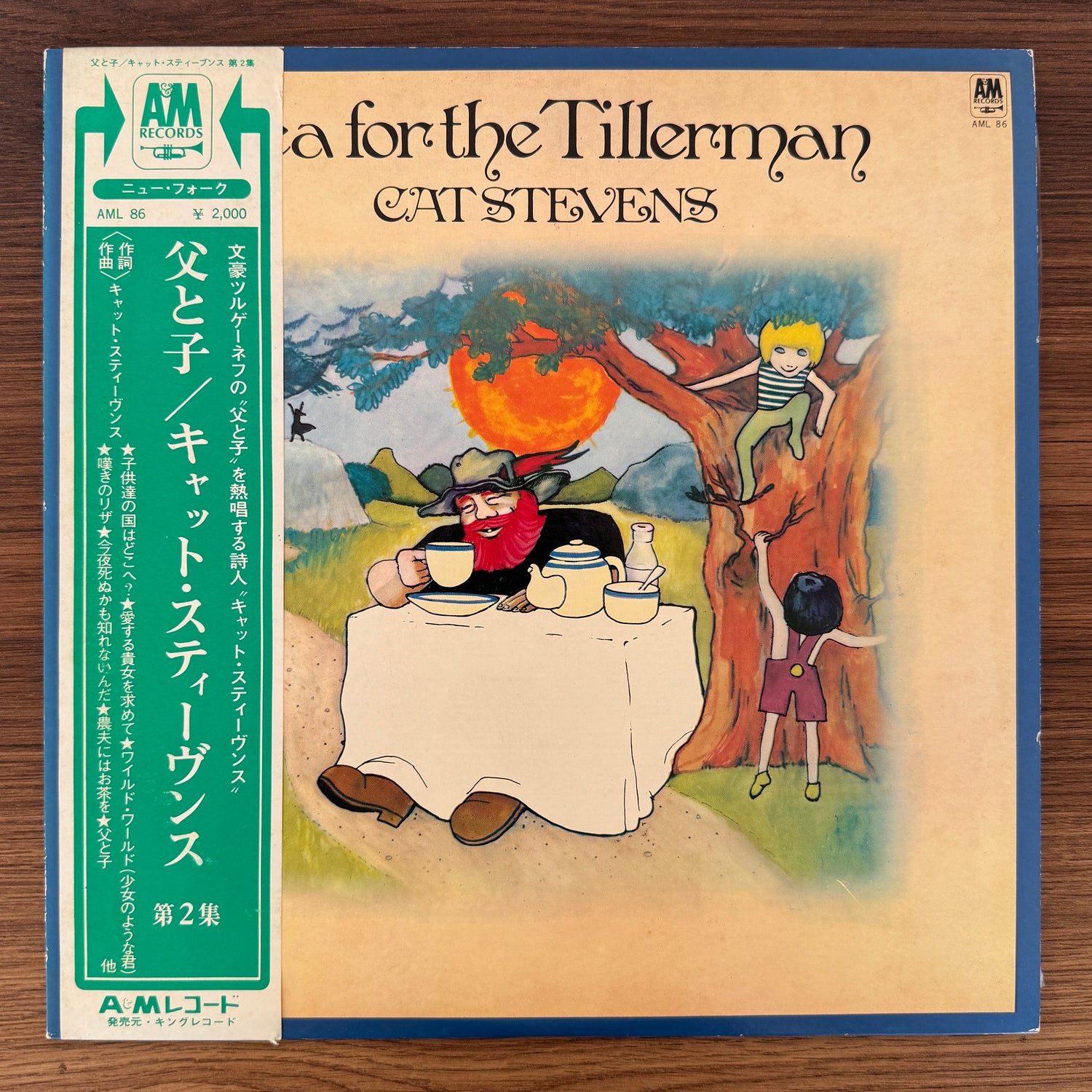 Cat Stevens – Tea For The Tillerman