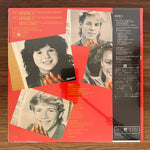 Shandi Sinnamon – Making It Japan Vinyl