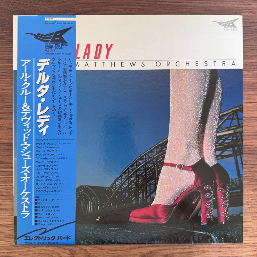 David Matthews Orchestra – Delta Lady
