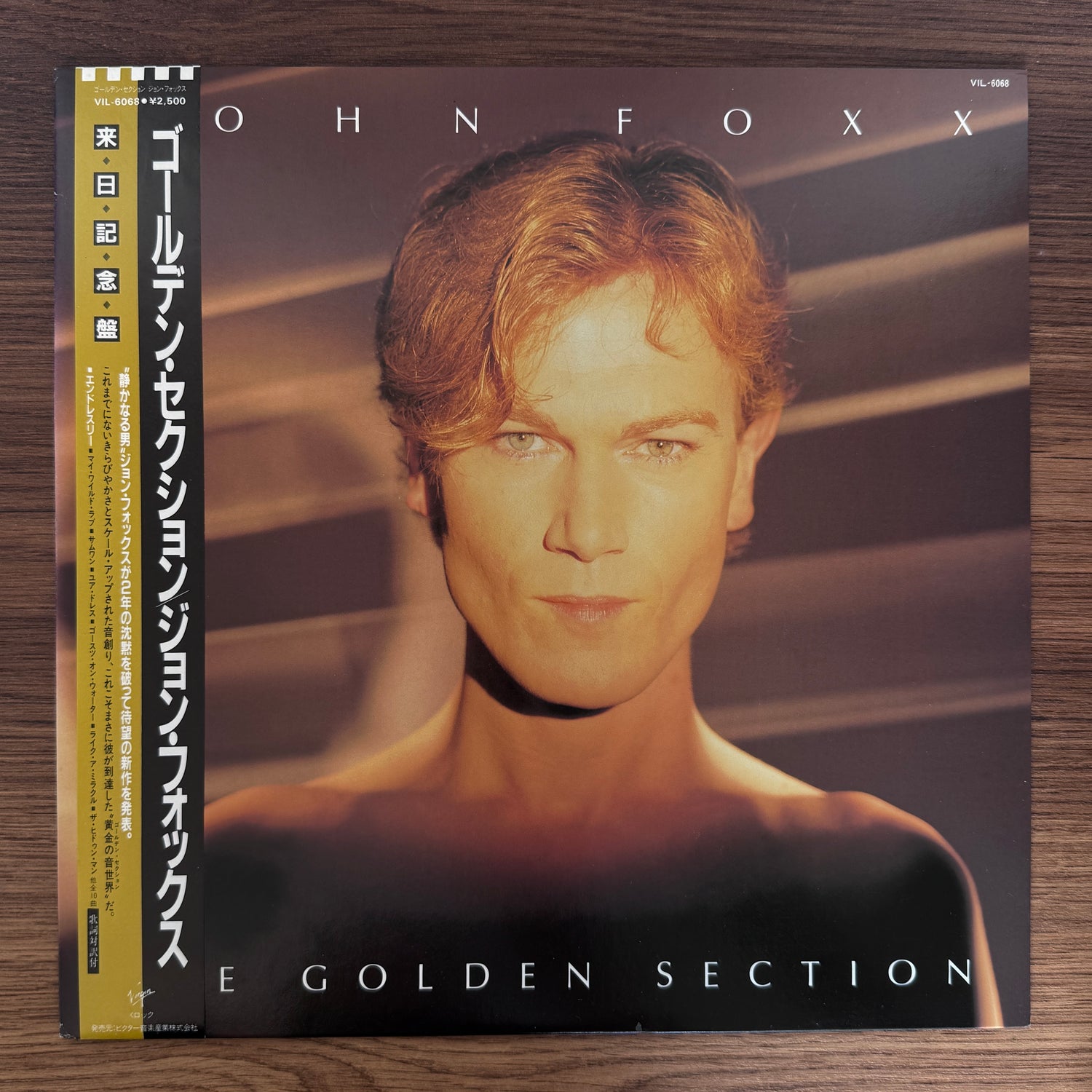 John Foxx – The Golden Section