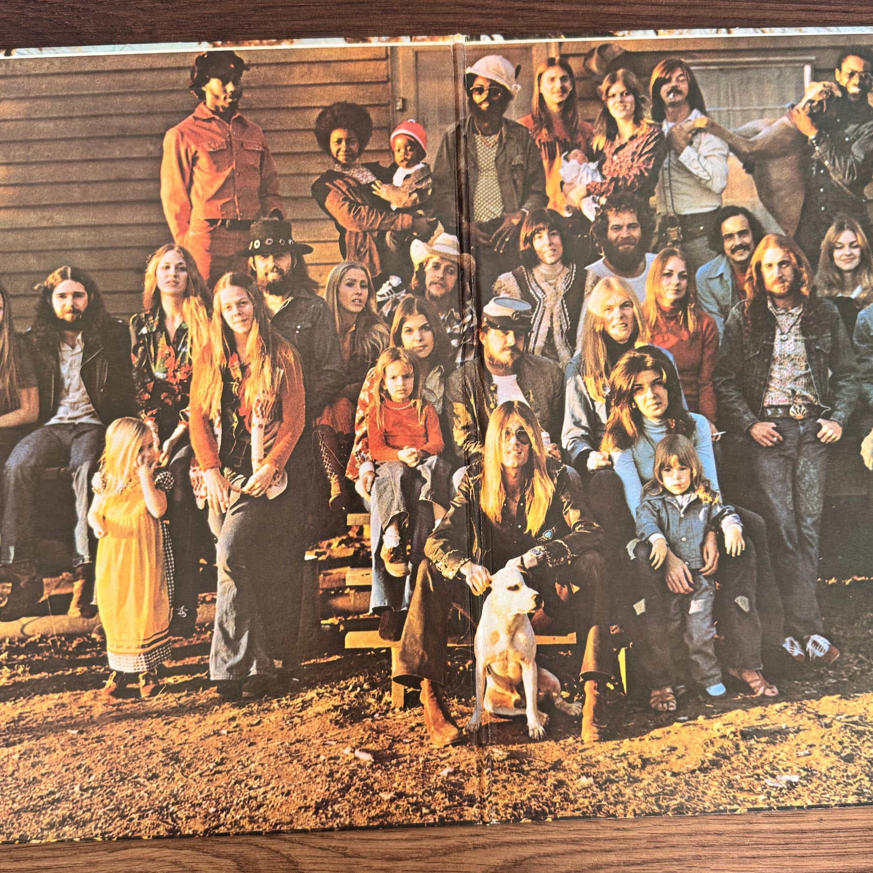 The Allman Brothers Band – Brothers And Sisters Japan Vinyl