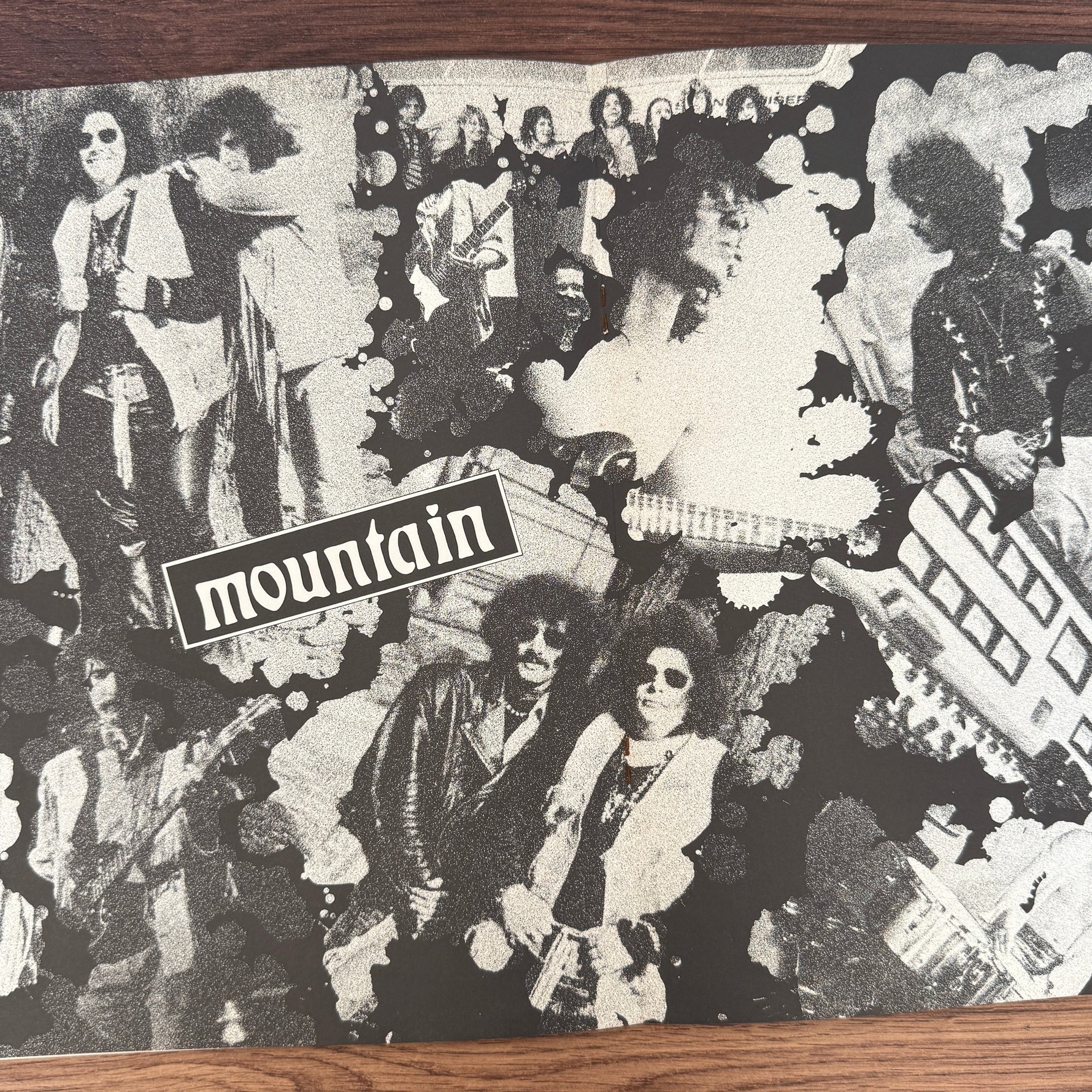 Mountain – Flowers Of Evil Japan Vinyl