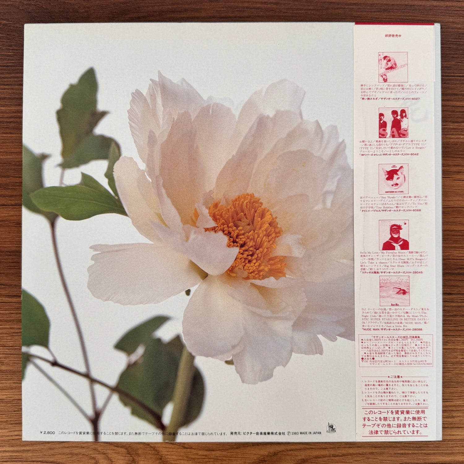 Southern All Stars – Kirei