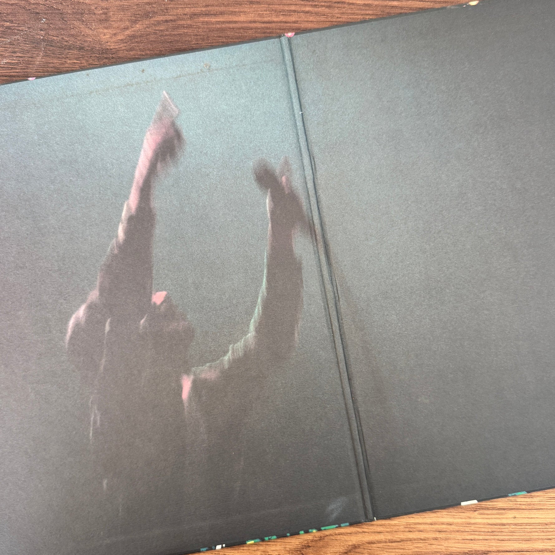 Masaki Ueda With Sly & Robbie – Private File (Live In Osaka) Japan Vinyl