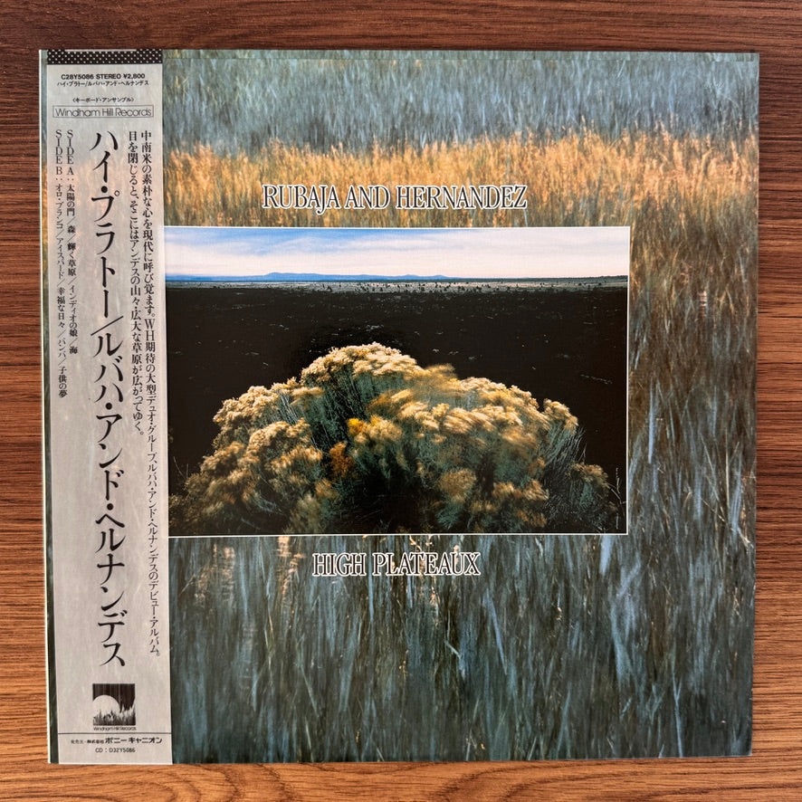 Rubaja And Hernandez – High Plateaux