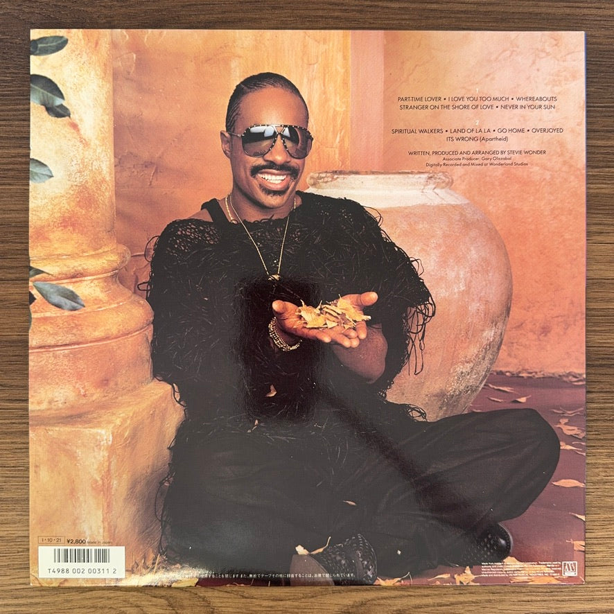 Stevie Wonder – In Square Circle (Kopya)