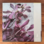 Yosui Inoue – 9.5 Carats Japan Vinyl