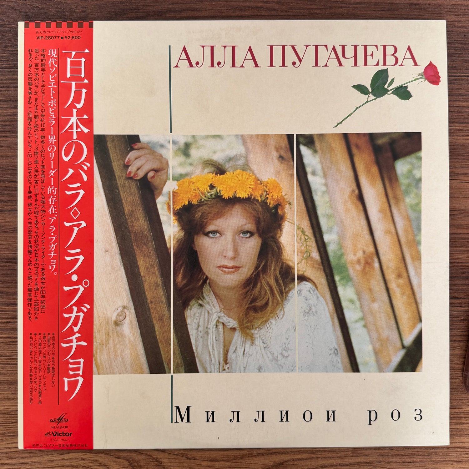 Alla Borisovna Pugacheva – Million Roses (Миллион Роз) Japan Vinyl