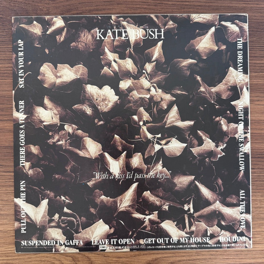 Kate Bush – The Dreaming