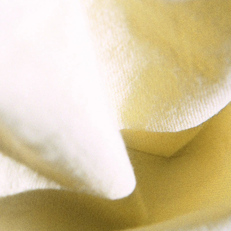 Kaneko Ayano – Yosuga CD