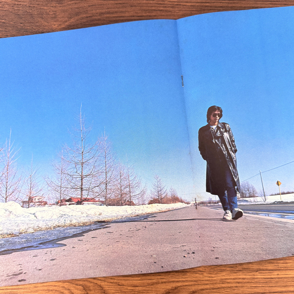 Chiharu Matsuyama – Like a Bird Flying in the Sky Japan Vinyl