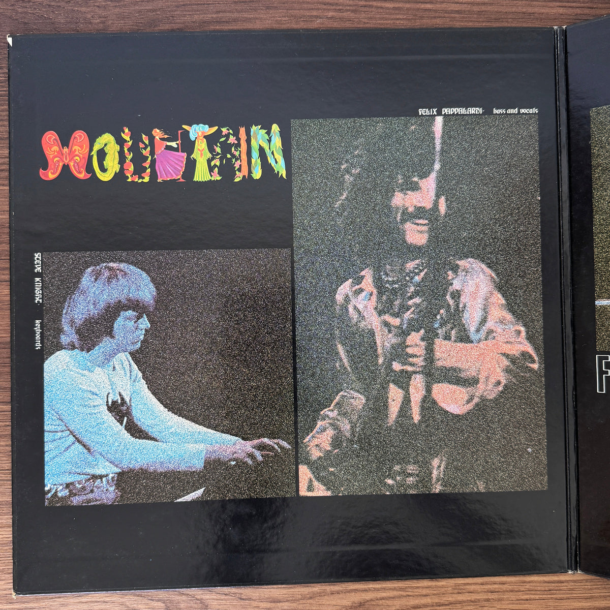 Mountain – Flowers Of Evil Japan Vinyl
