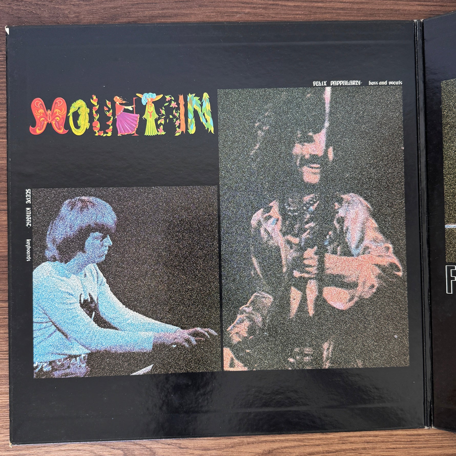 Mountain – Flowers Of Evil Japan Vinyl