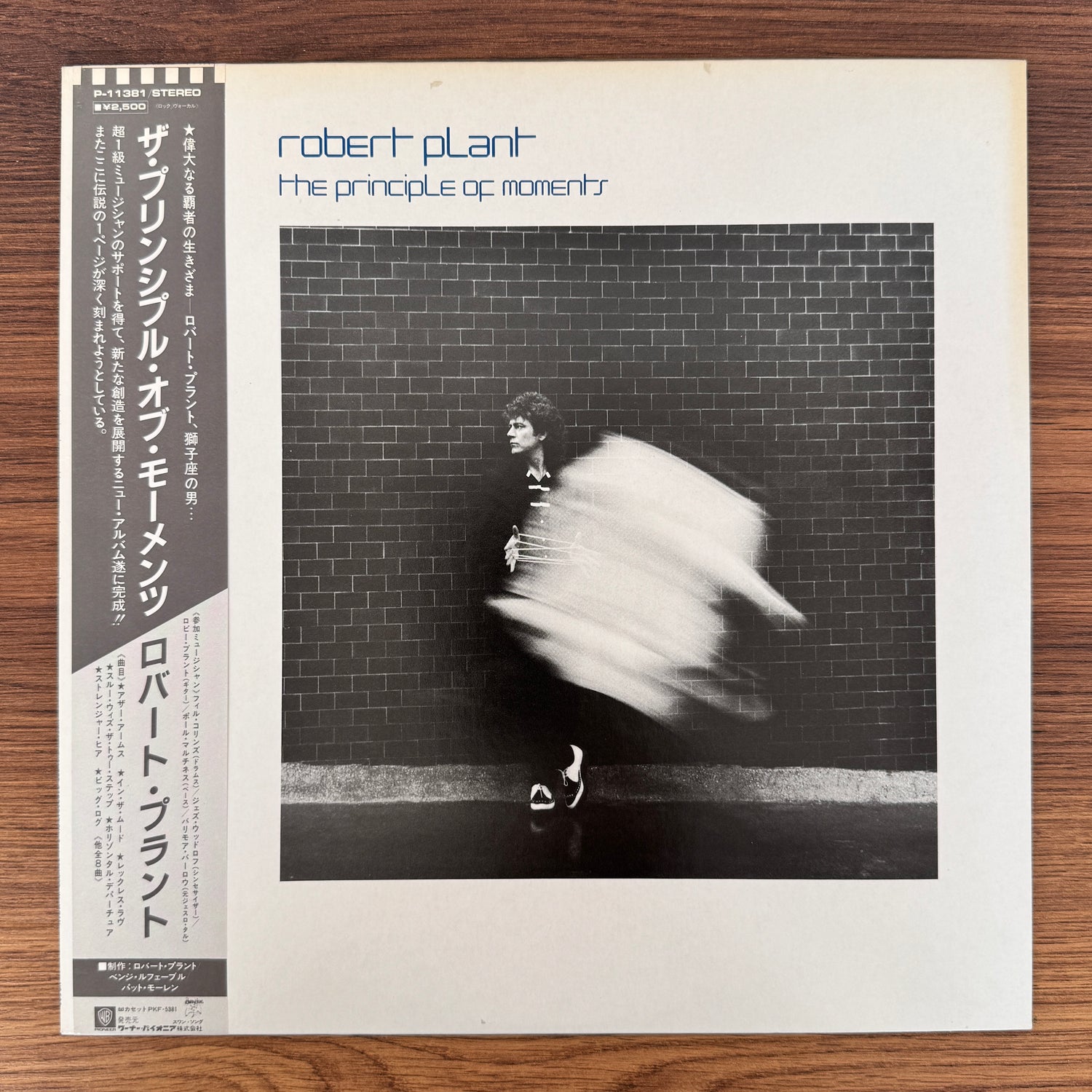 Robert Plant – The Principle Of Moments