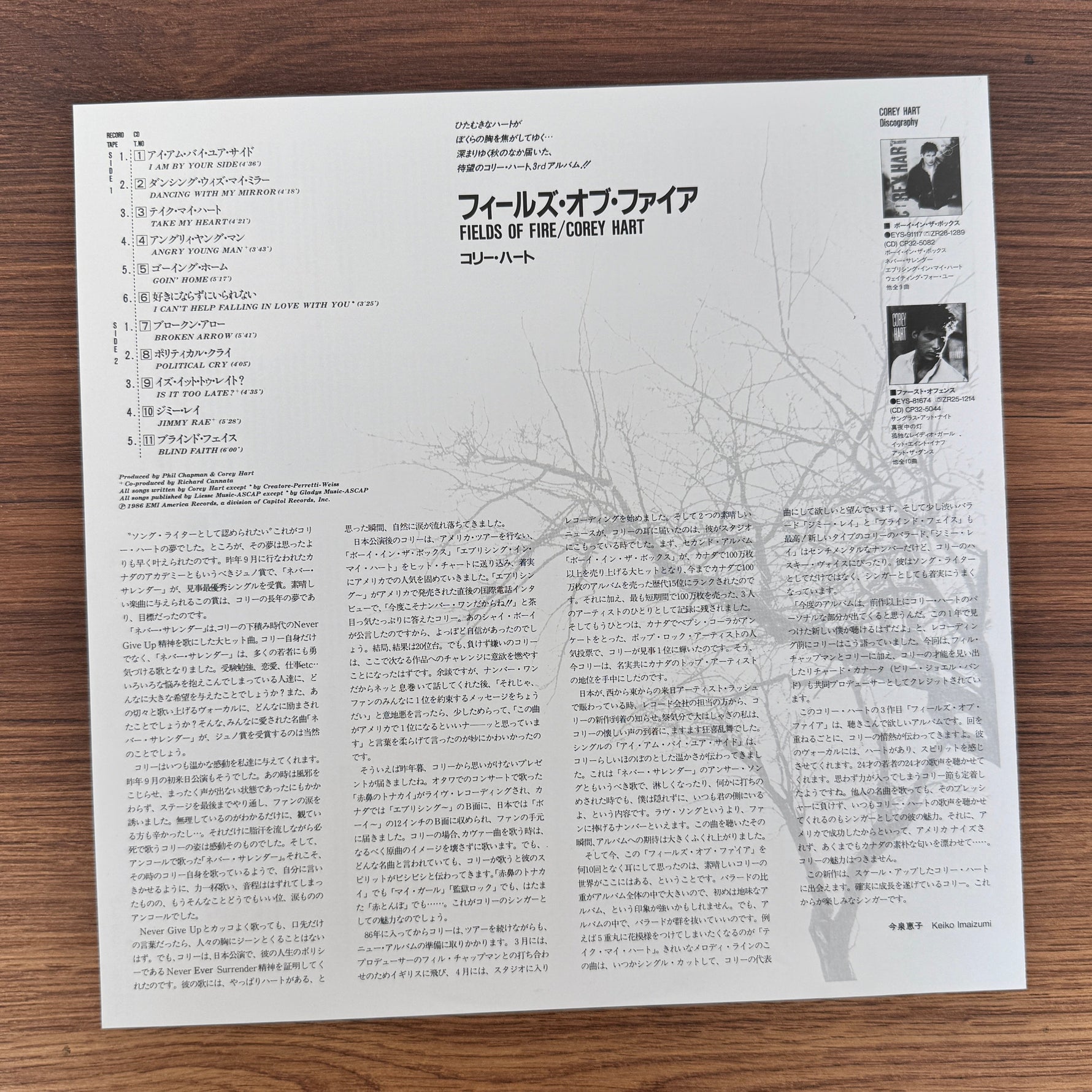 Corey Hart – Fields Of Fire Japan Vinyl
