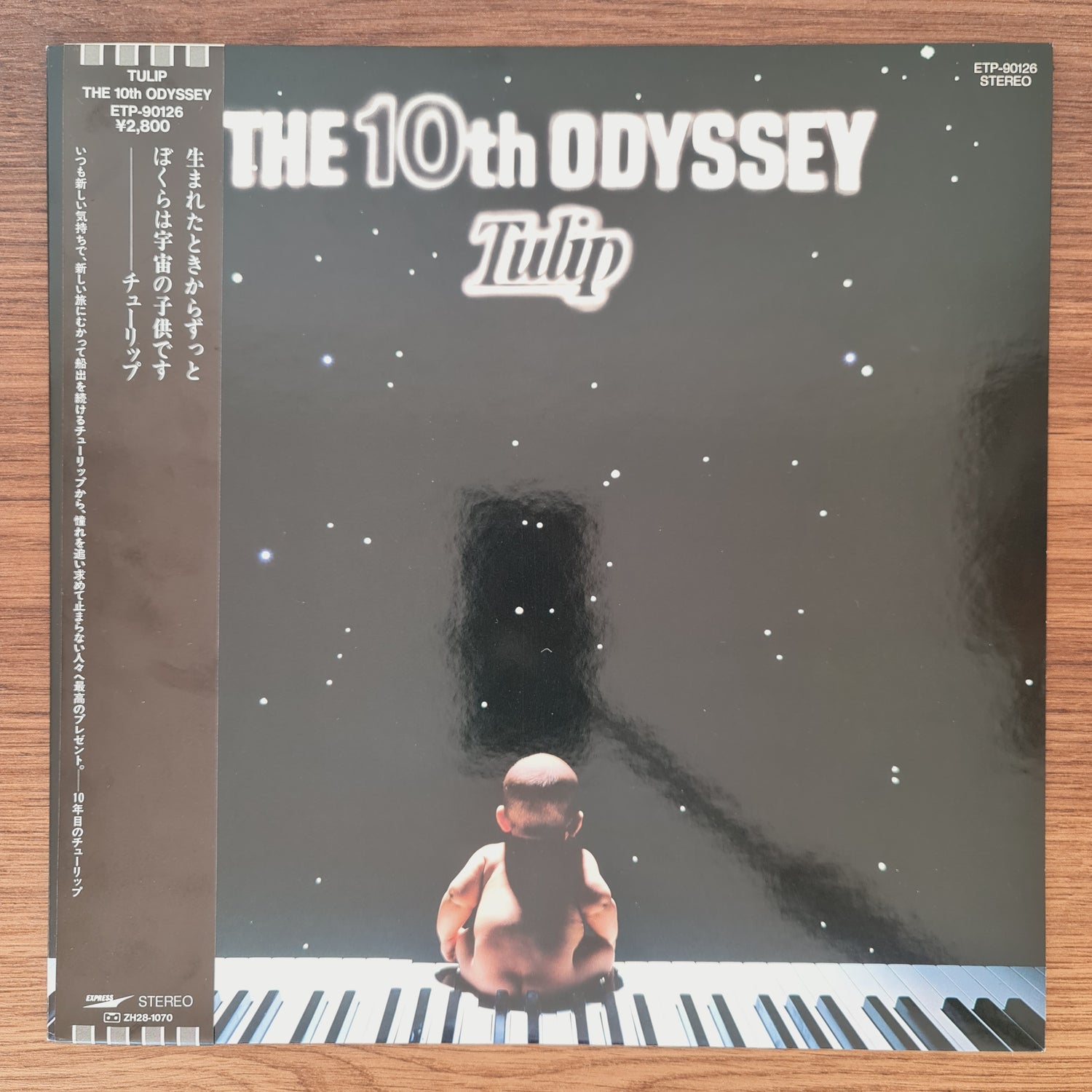 Tulip – The 10th Odyssey