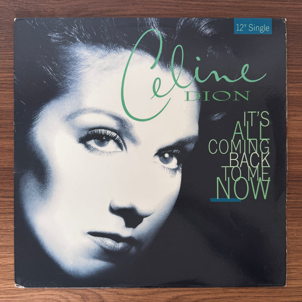 Celine Dion – It's All Coming Back To Me Now