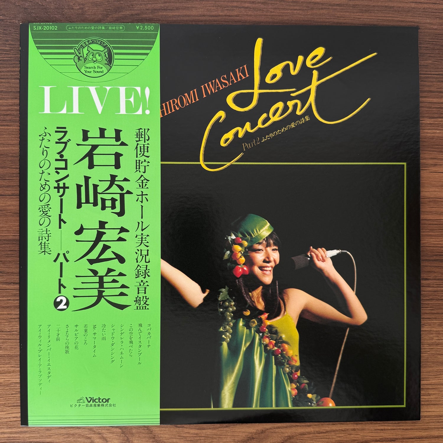 Hiromi Iwasaki – Love Concert Part 2