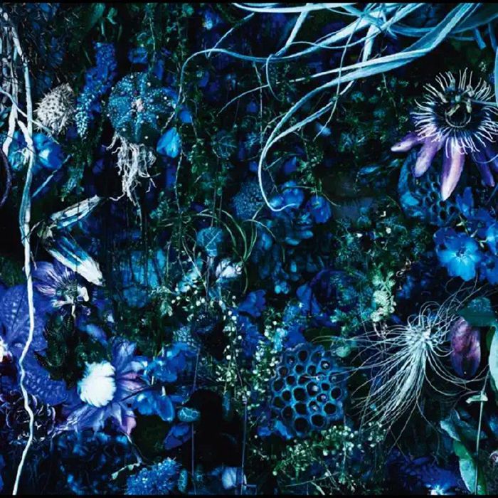 Sugizo – Oneness M Plak