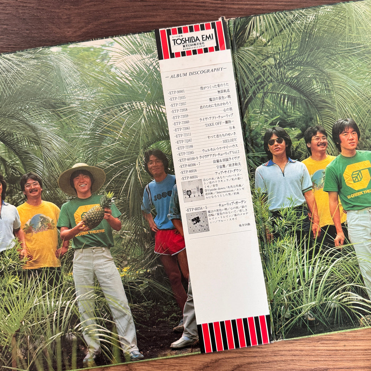 Tulip – Someday Somewhere Japan Vinyl