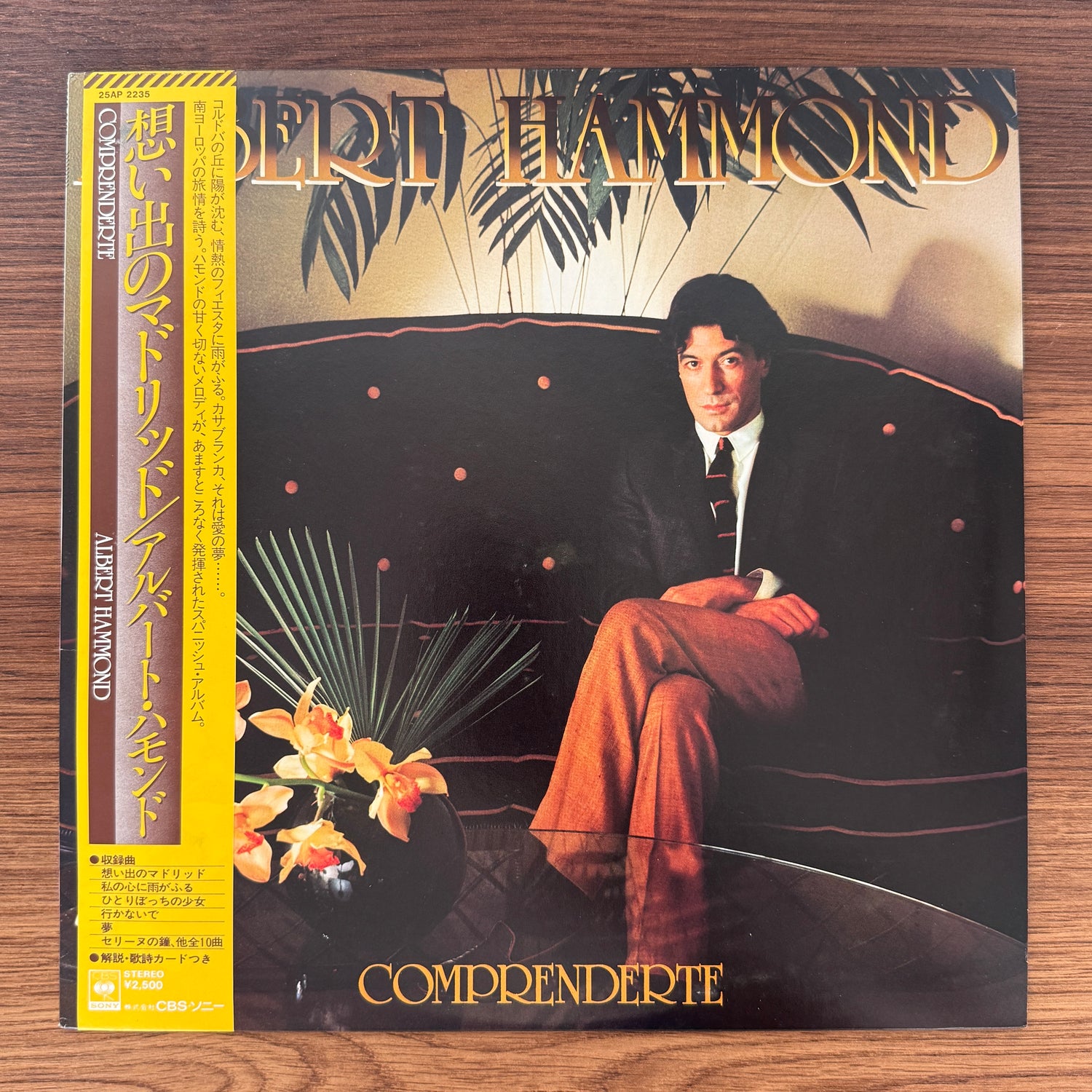 Albert Hammond – Comprenderte