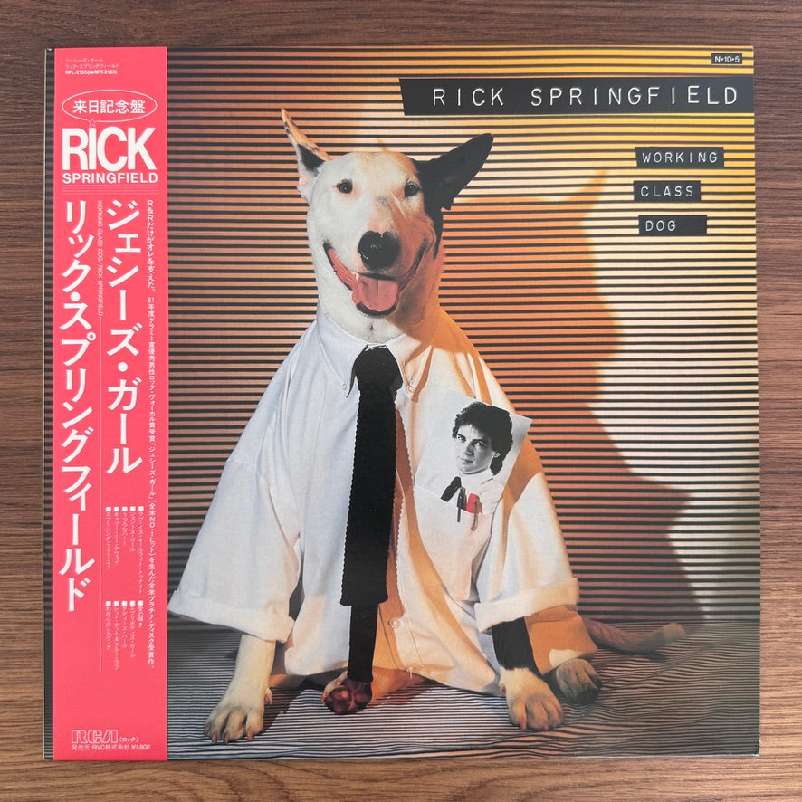 Rick Springfield – Working Class Dog