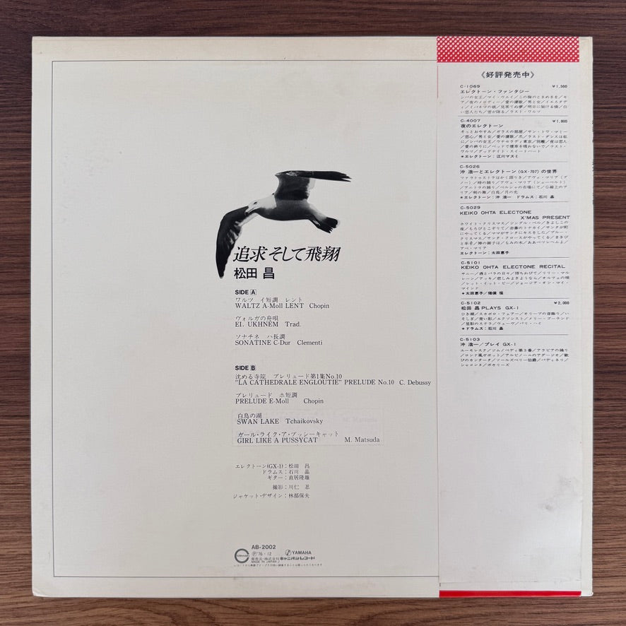 Masa Matsuda – Pursuit and Soaring