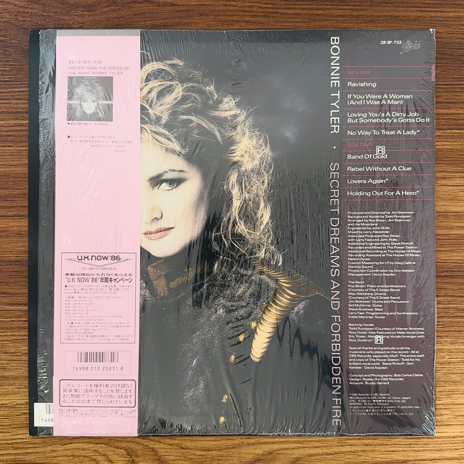 Bonnie Tyler – Secret Dreams And Forbidden Fire