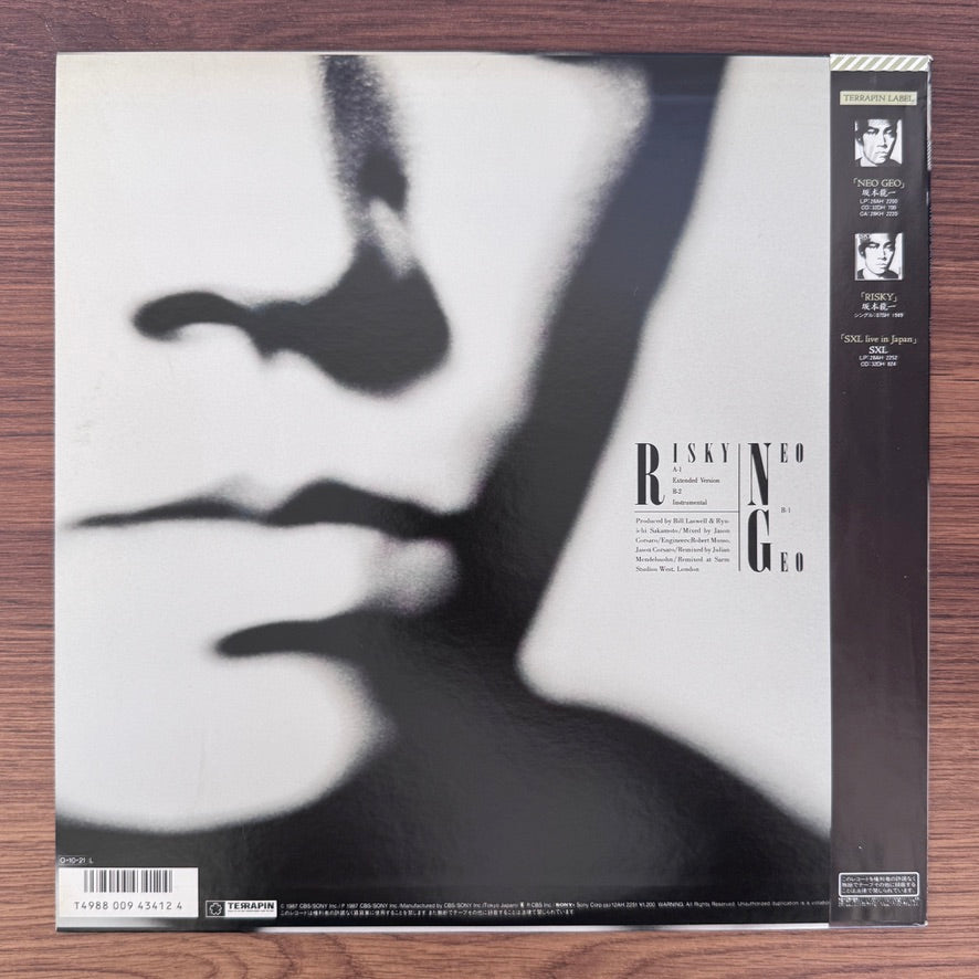 Ryuichi Sakamoto – Risky