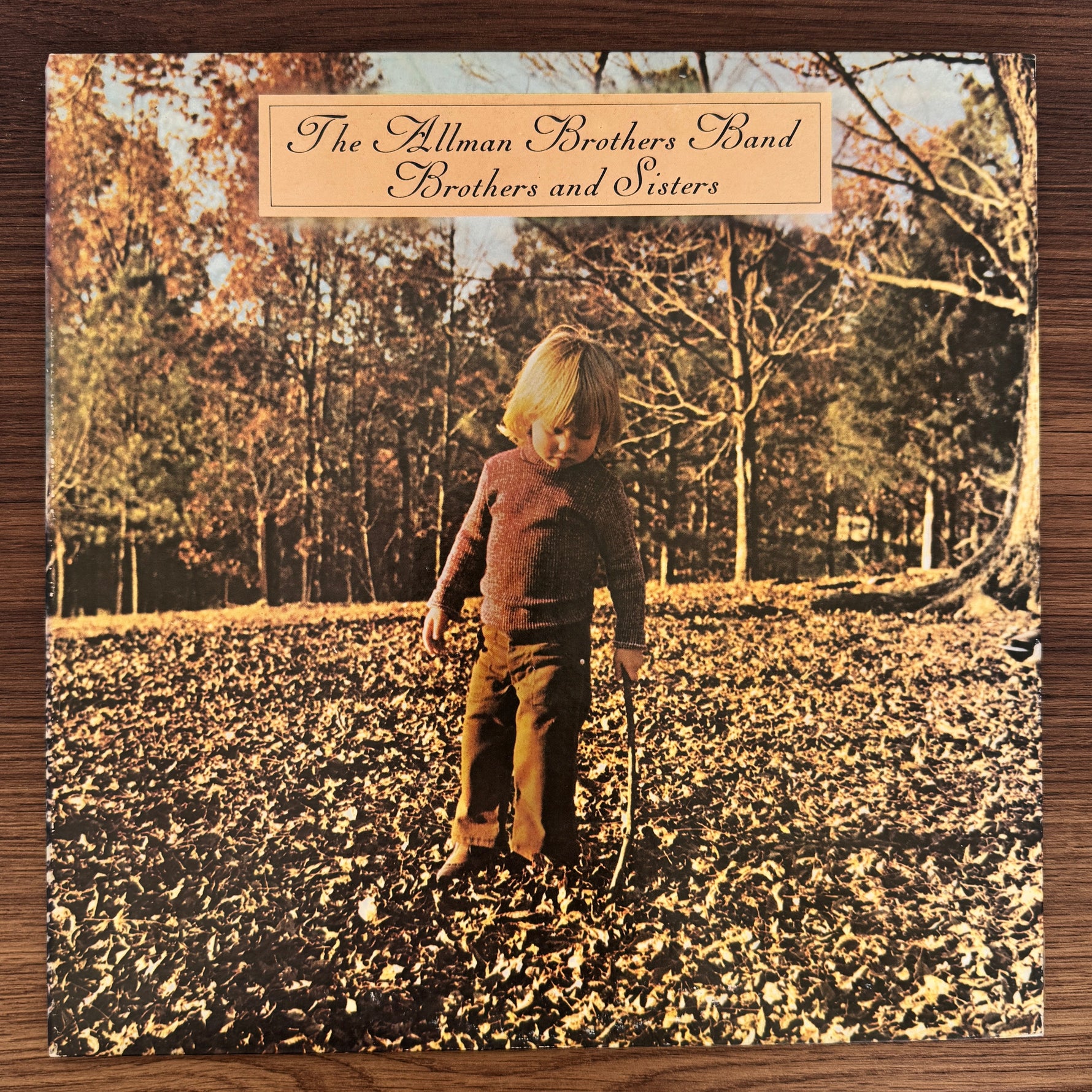 The Allman Brothers Band – Brothers And Sisters Japan Vinyl