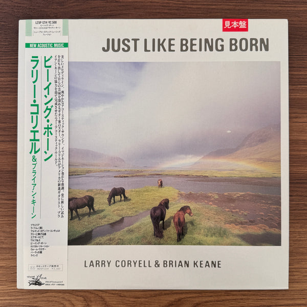 Larry Coryell & Brian Keane – Just Like Being Born