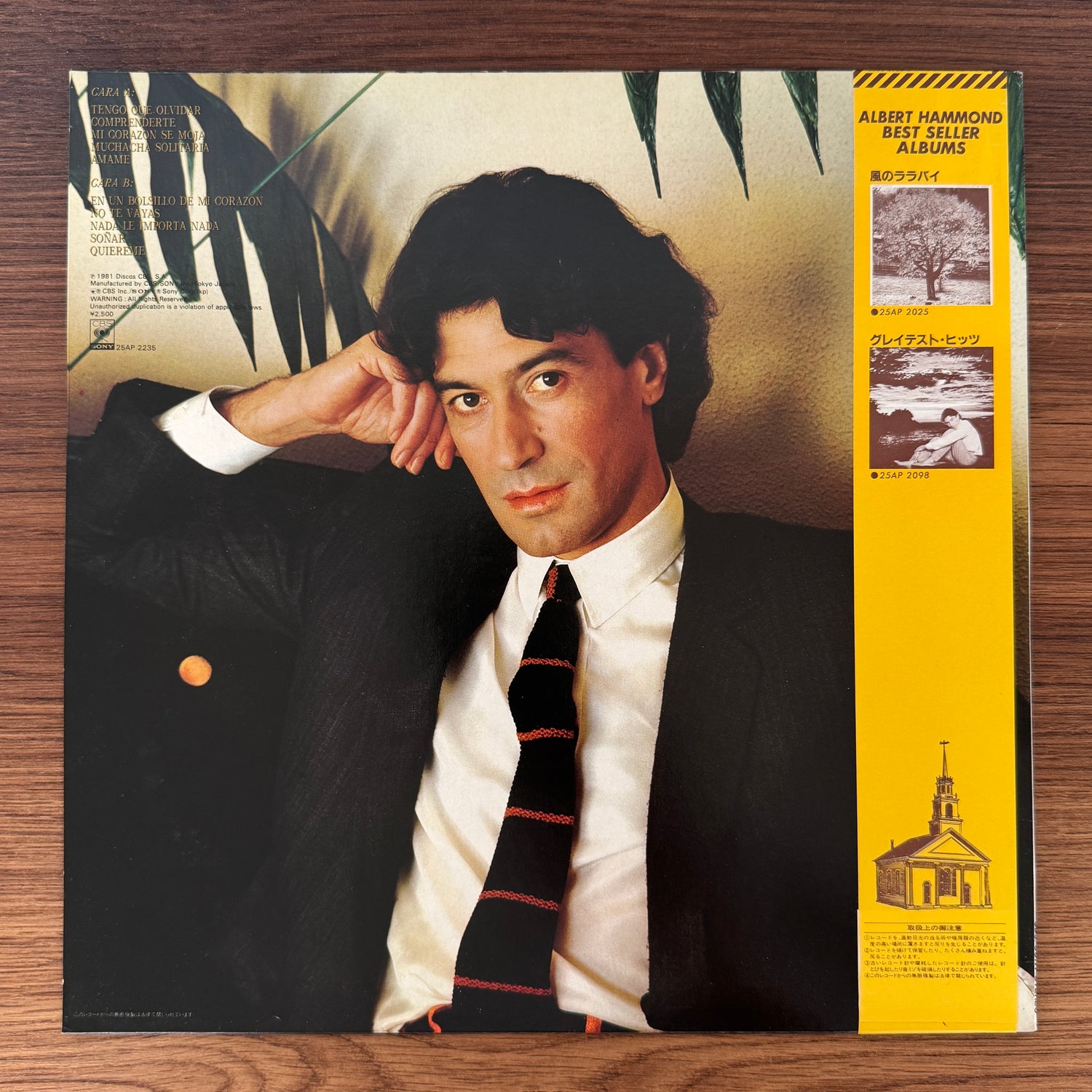 Albert Hammond – Comprenderte