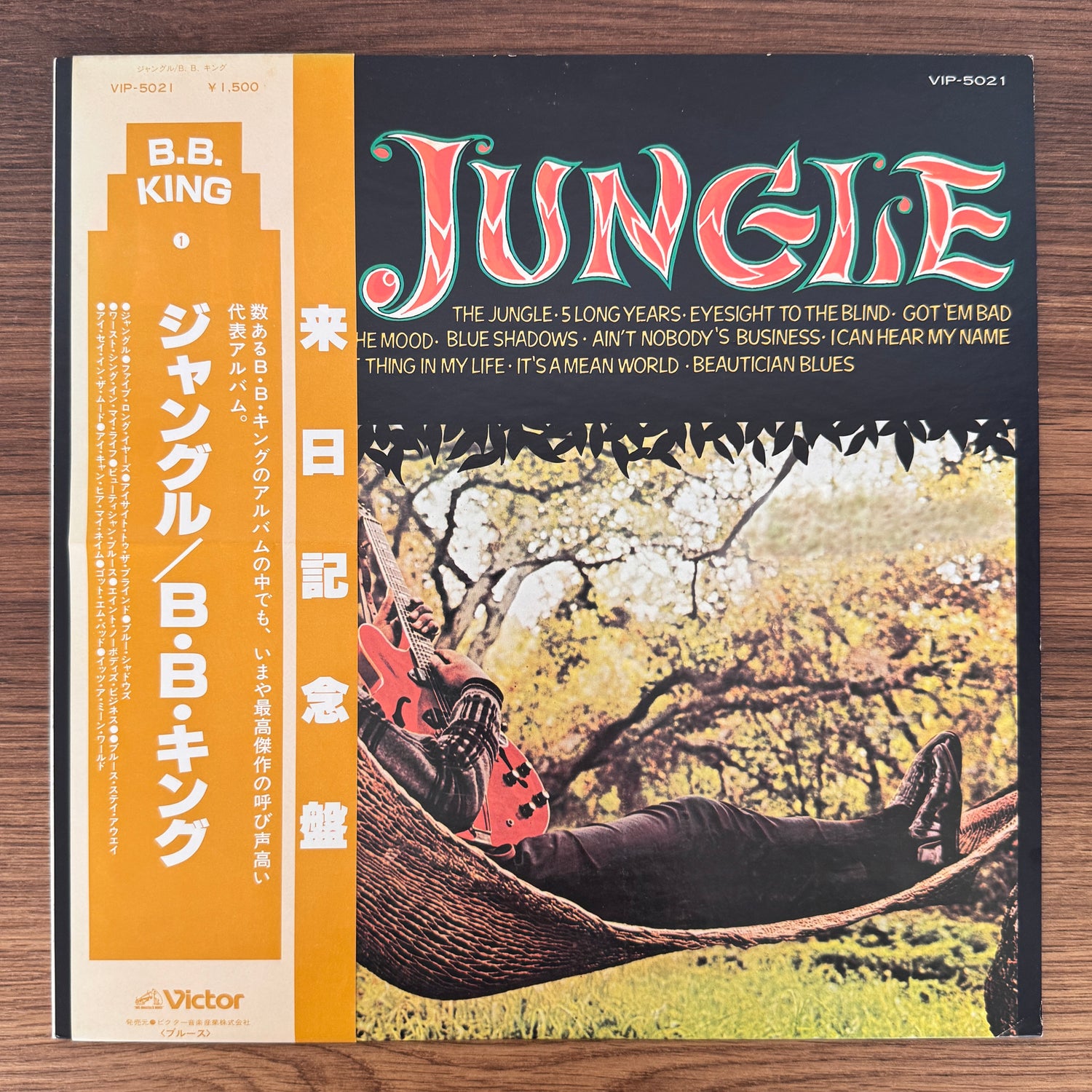 B.B. King – The Jungle